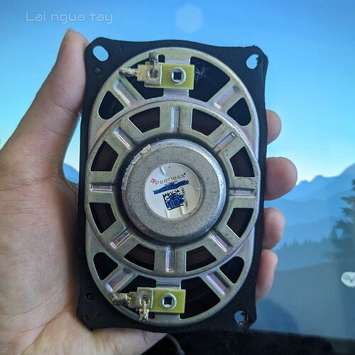 PXL_20250804_065350122