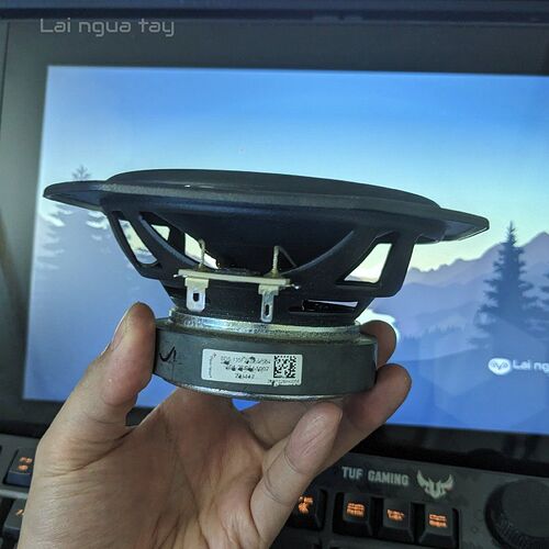 PXL_20251112_094057700