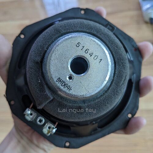 PXL_20250613_101759665