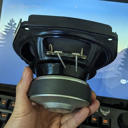 PXL_20251112_094306134