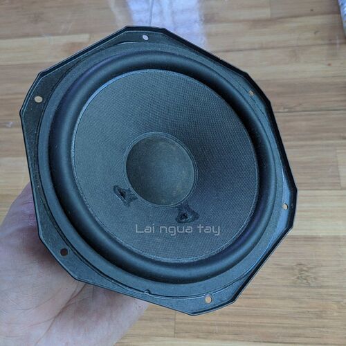 PXL_20250613_101810163