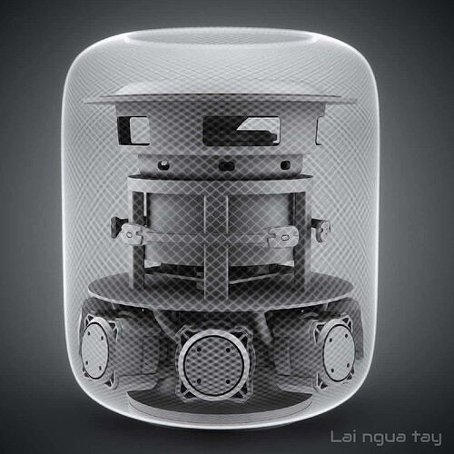 332141106_5932371733505499_1749930359041803827_n