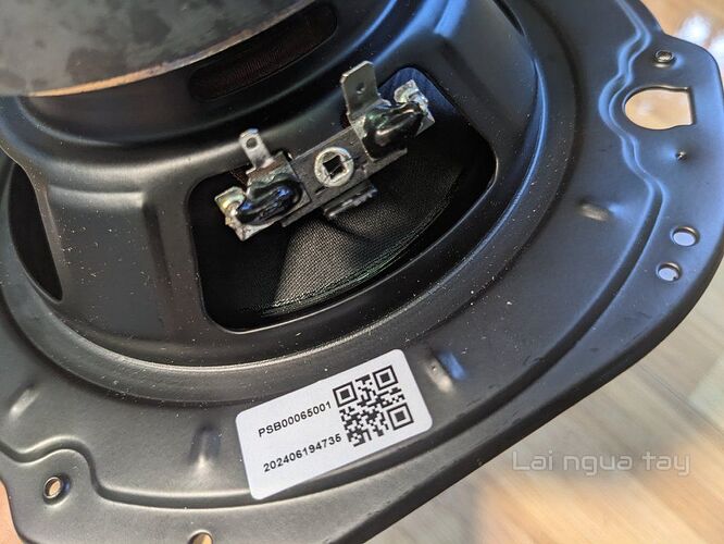 PXL_20250601_065100032