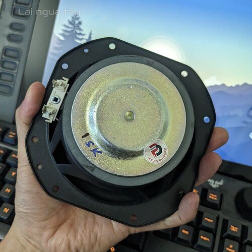 PXL_20251112_094116119